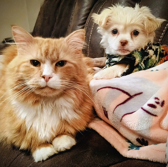 Me, in a nutshell - Picture 13 of 13